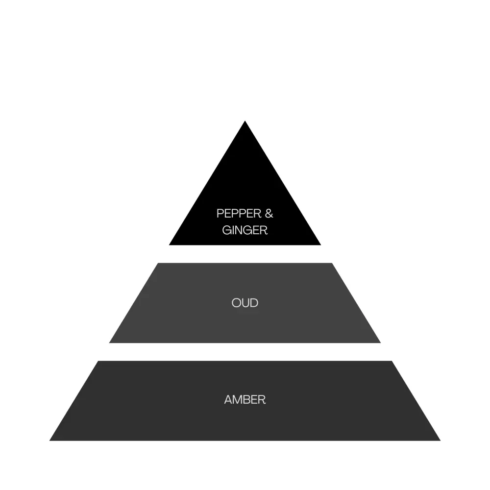 19_7a7e4176-10d2-4d47-95a3-a18f3aa0a5a5