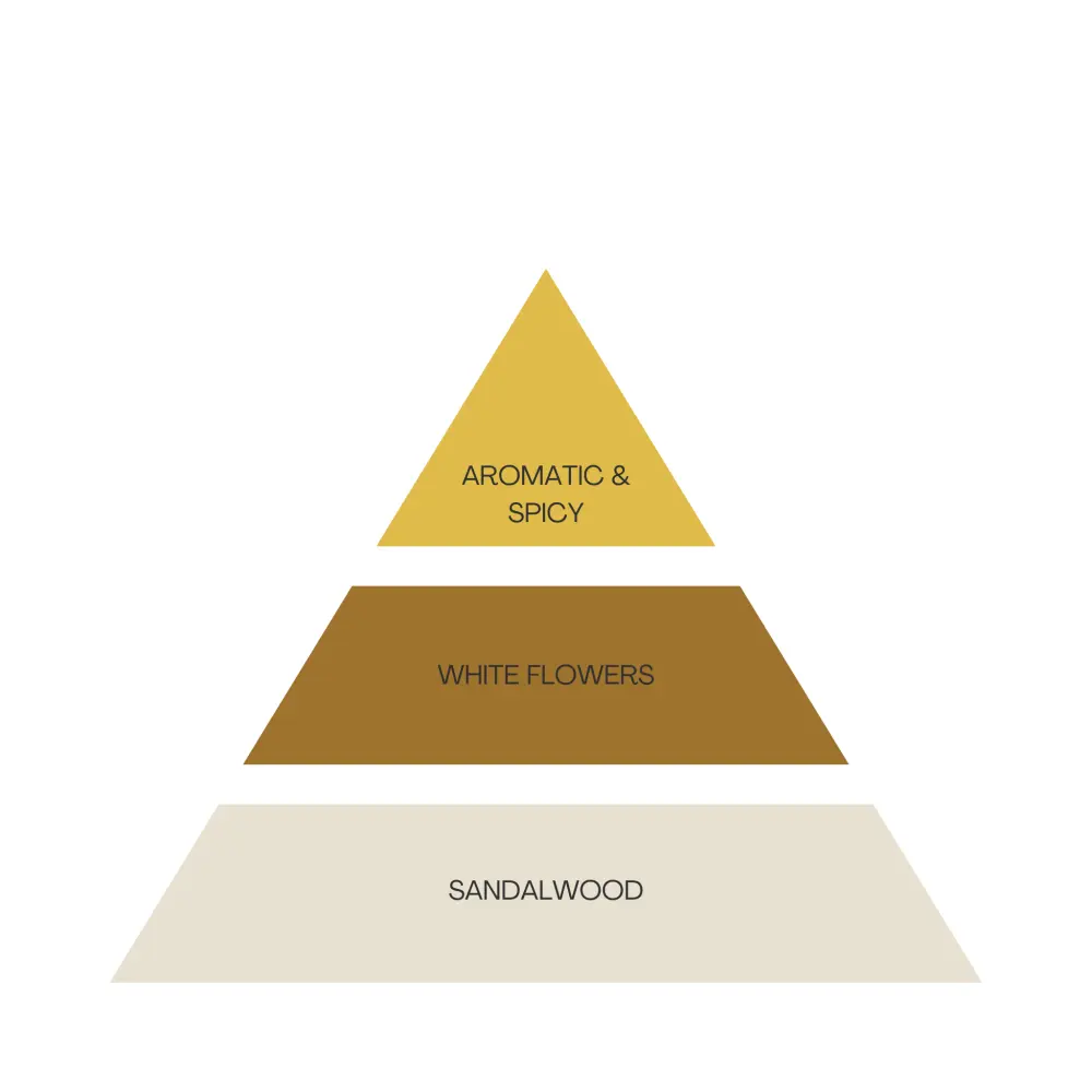 15_ad404b8d-7338-4ef6-905f-0463c2a5018c