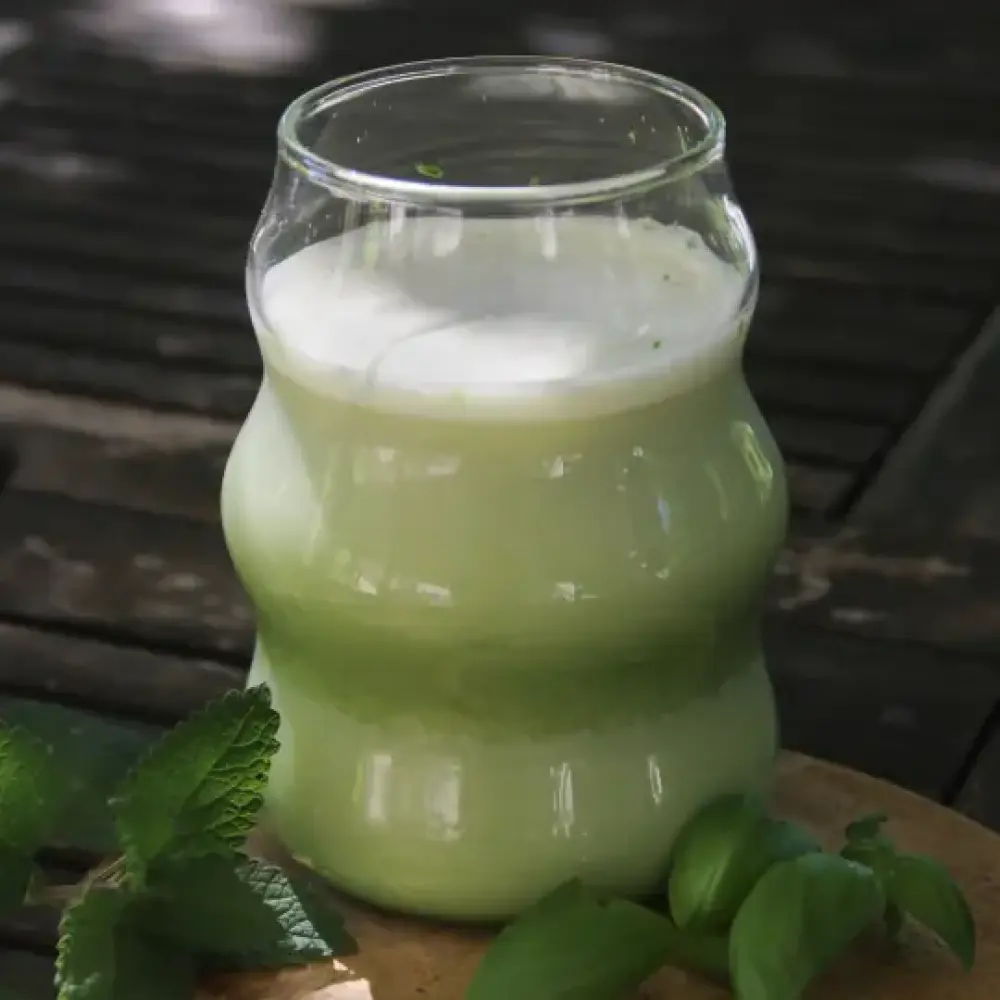 jus-herbe-orge-bio-deshydrate-4