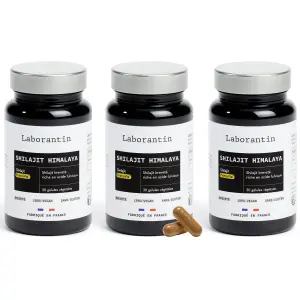 Shilajit Himalaya - 3 mois
