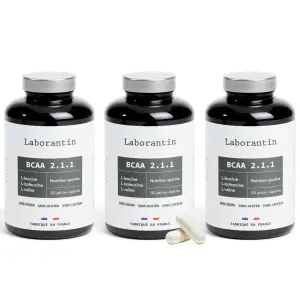 BCAA 2.1.1 - 3 mois