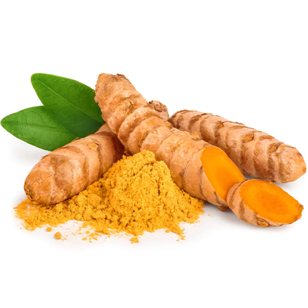 curcuma-kurkuma-curcuma-longa