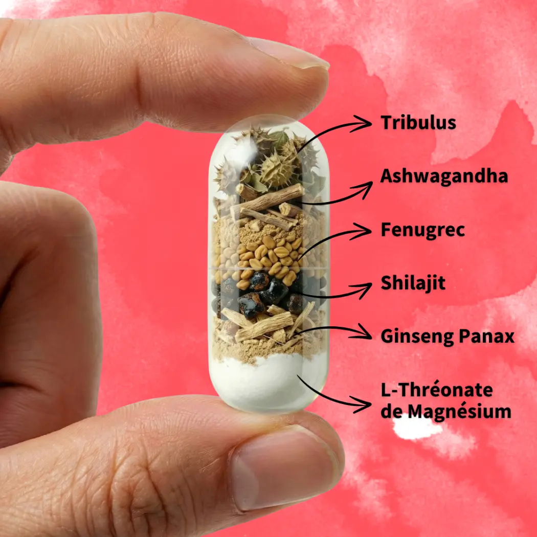 Coup de Boost Composition