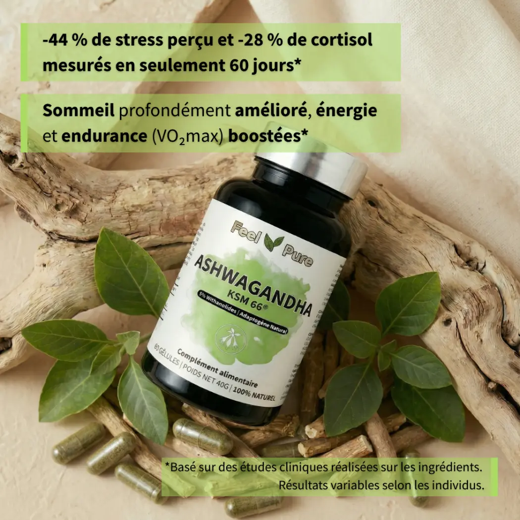 Gélules d'Ashwagandha Etudes