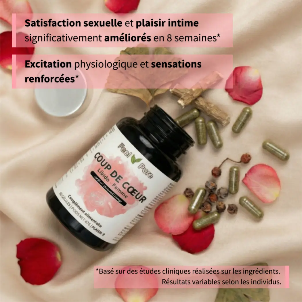 Coup de Coeur Etudes