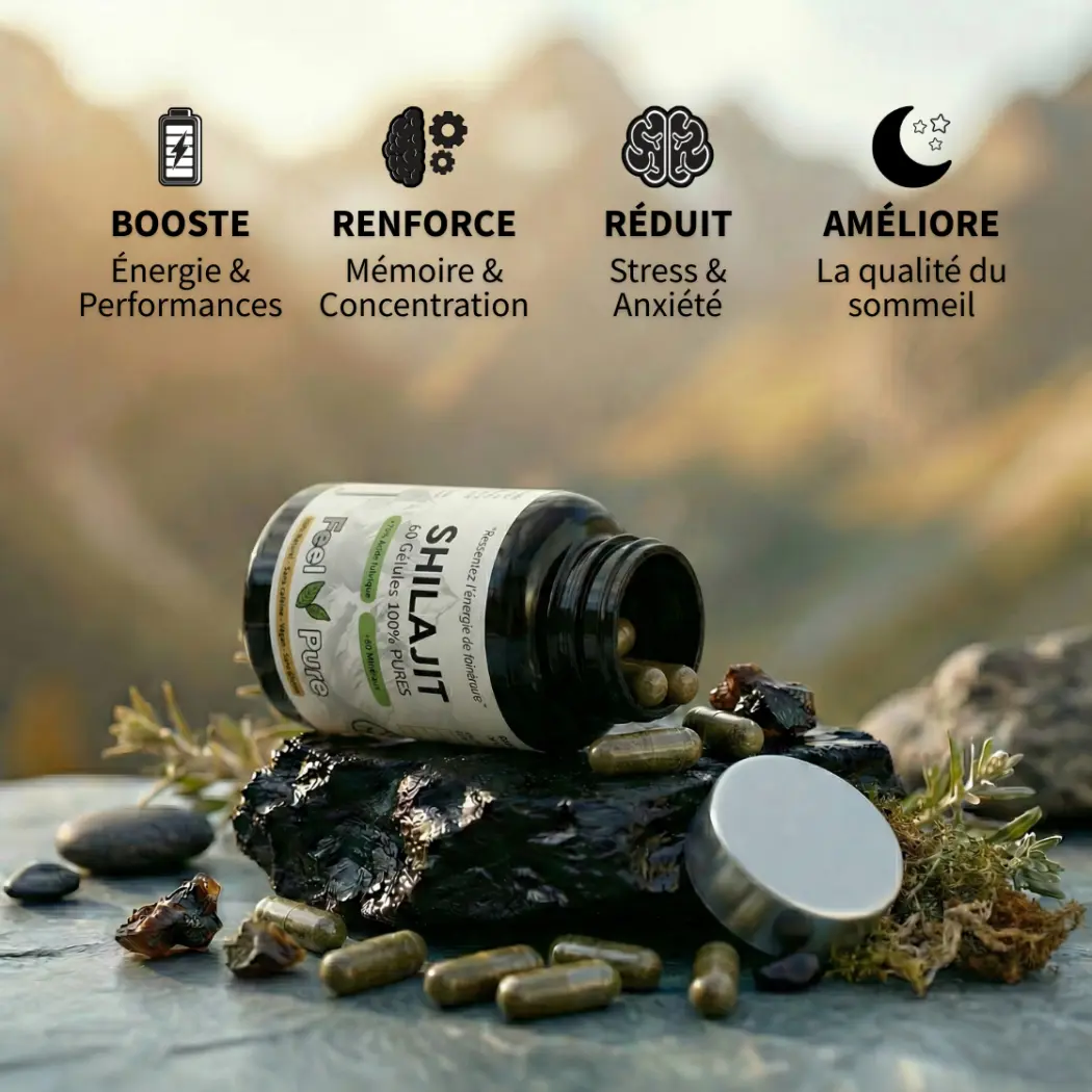 Gélules de Shilajit 70% Bienfaits