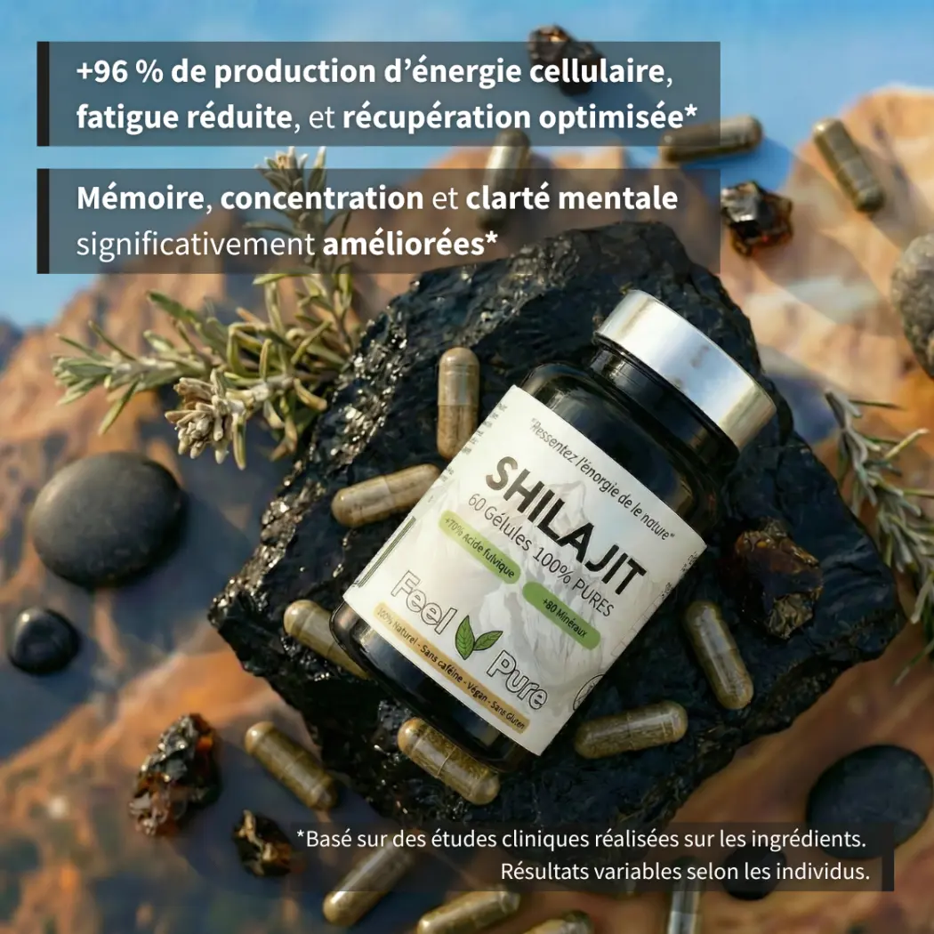 Shilajit : 60 Gélules Pure 100% - Énergie & Vitalité Shilajit : 60 Gélules Pure 100% - Énergie & Vitalité