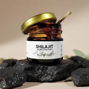 Shilajit-Harz - 30g