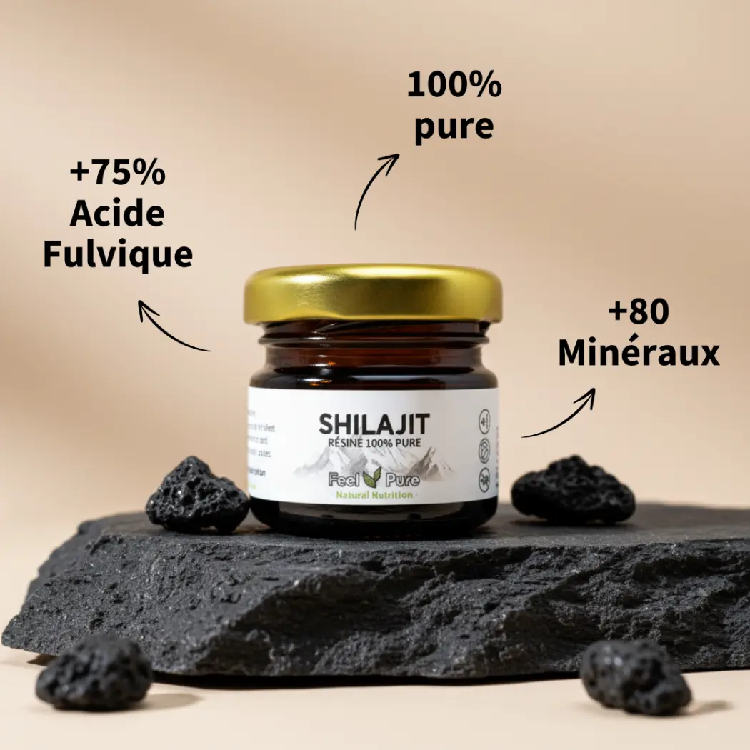 Résine de Shilajit Composition