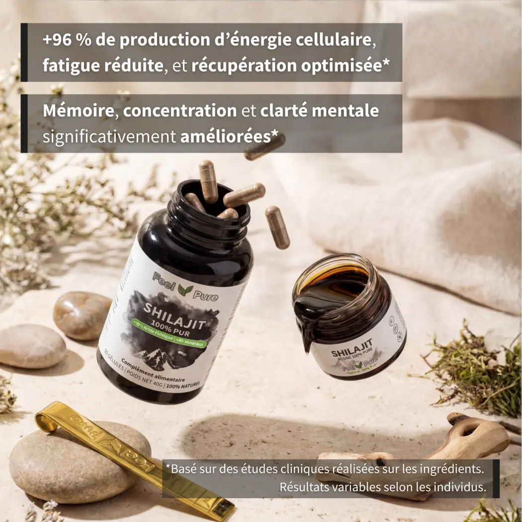 Pack Shilajit Etudes