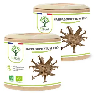 Harpagophytum Bio - 2 x 60 - 120Stück