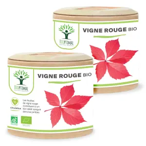 Rote Weinrebe Bio - 120Stück