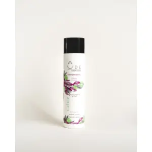 Shampoo für gefärbtes Haar - Calice