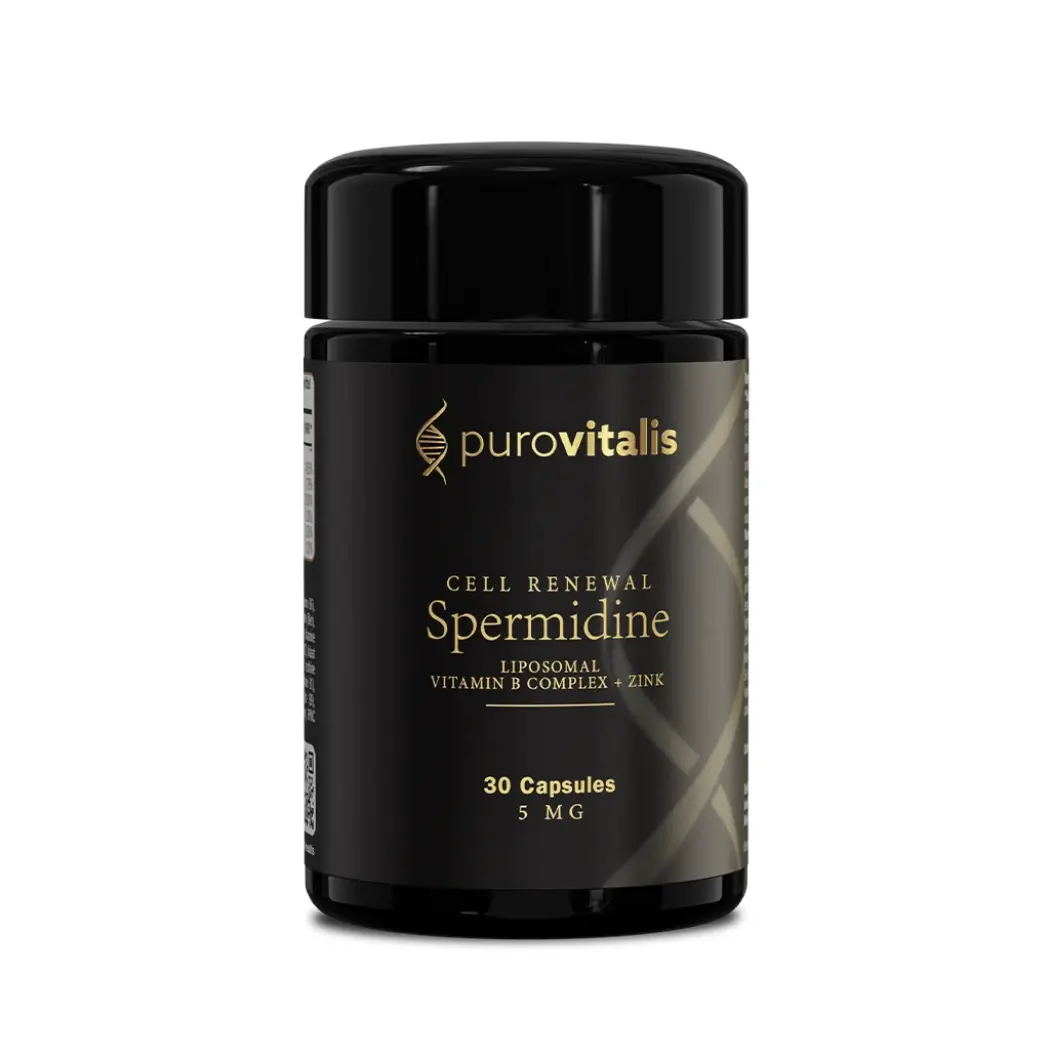 spermidine-cell-renewal-30-1024px