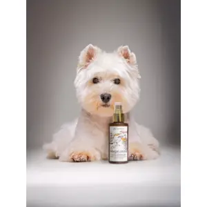 MegaLoona – Oméga-3 pour chiens