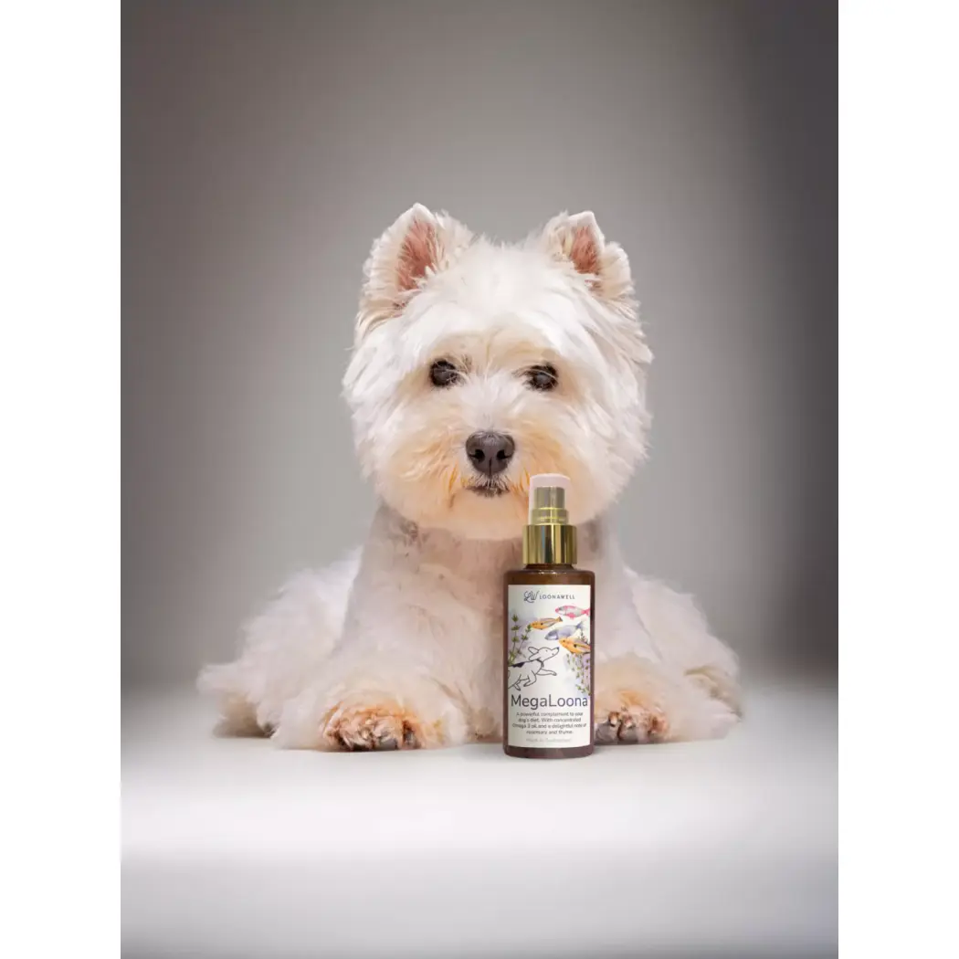 loonawell-megaloona (2)