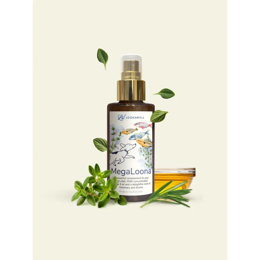 LOONAWELL_MegaLoona (1)