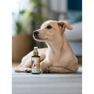 Berry Bee – Complexe nutritionnel et antioxydant pour chiens