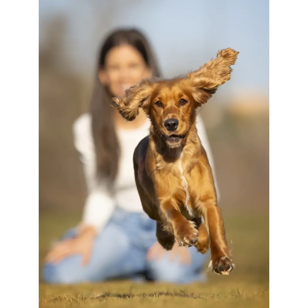 LOONAWELL_FlexiLoona (4)