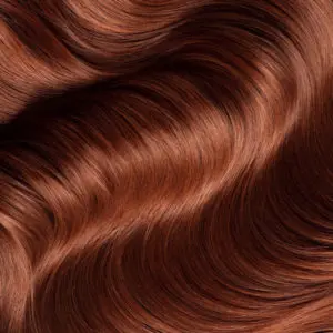 Box Pflanzenhaarfarbe Vorpigmentierung