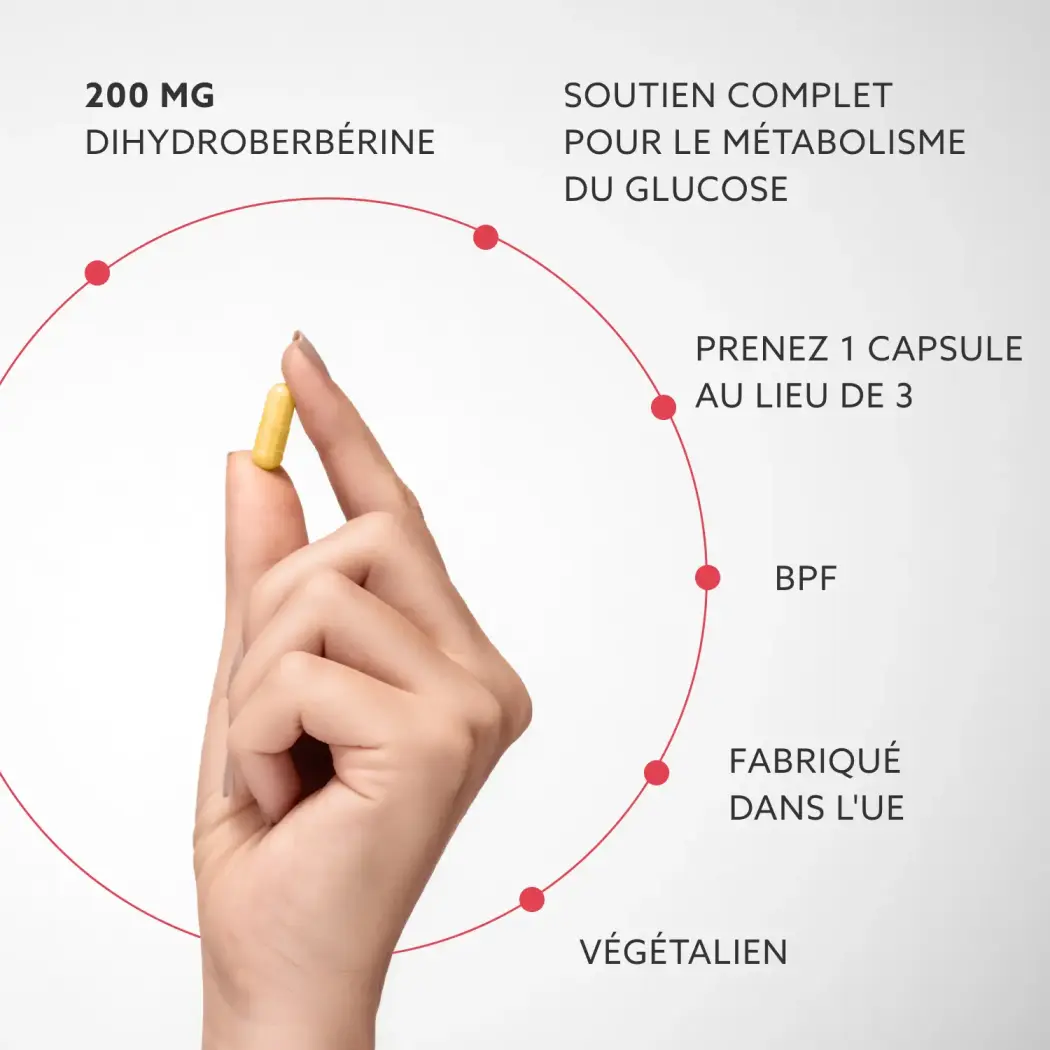 berberine-description-FR-1x