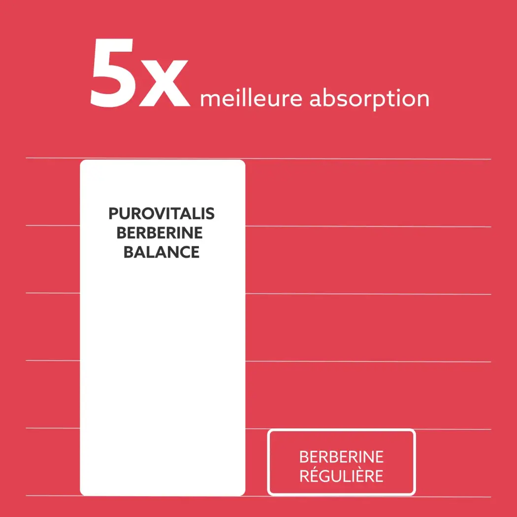 berberine-absorption-FR-1x