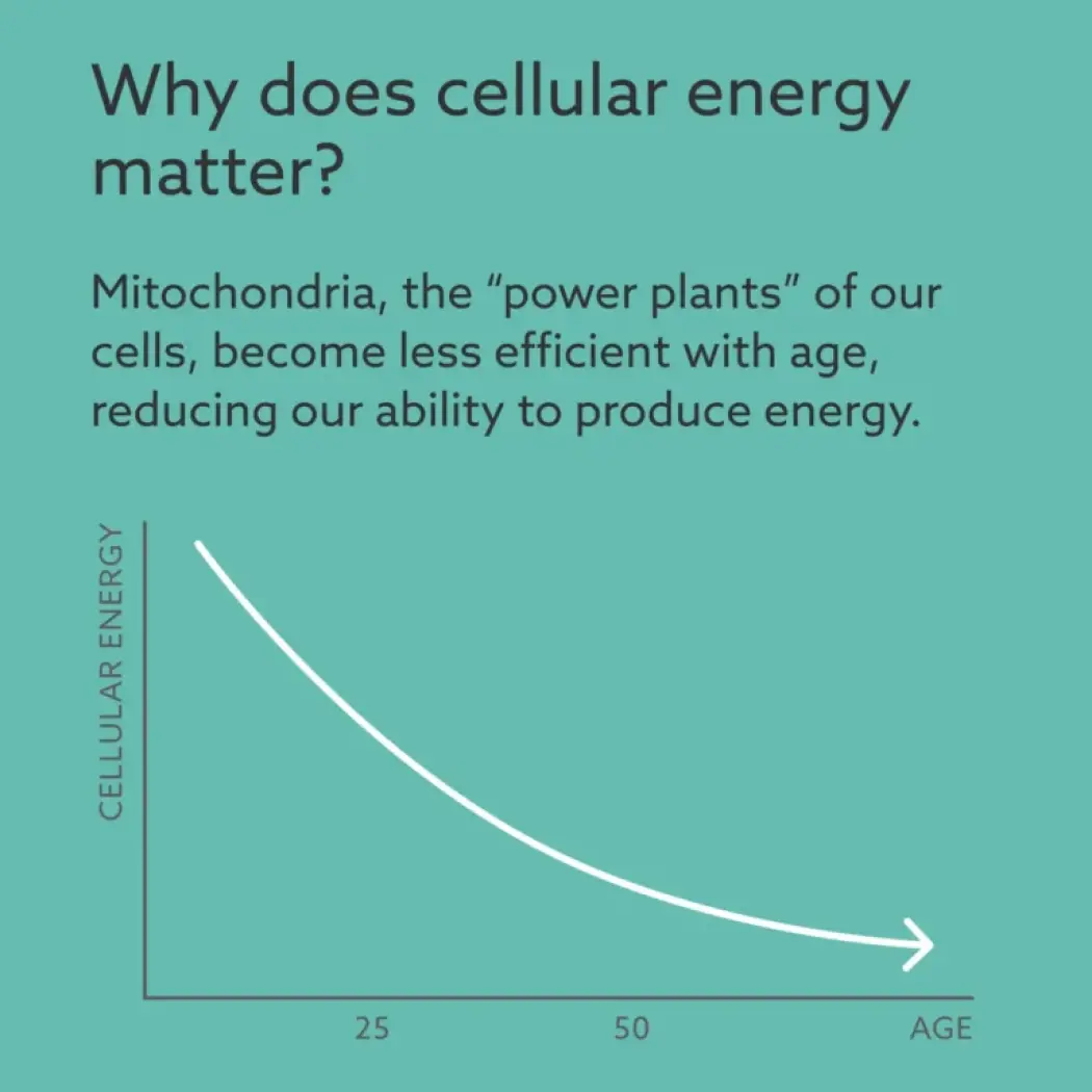 calcium-akg-cellular-energy-EN-1x-768x768 (1)