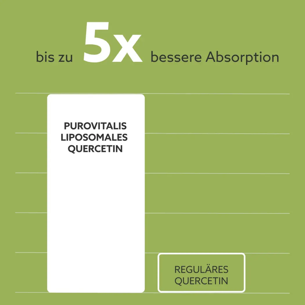 quercetin-absorption-DE-1x