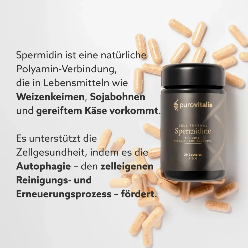 spermidine-usp-DE