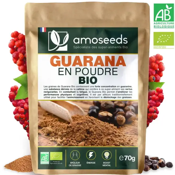Bio Guarana-Pulver