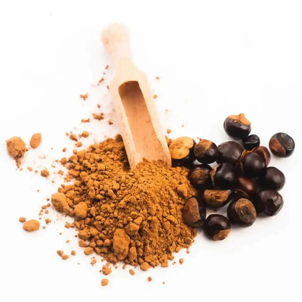 GuaranaPoudreBio-amoseedsspecialistedessuperalimentsbio_8copie_720x (1)