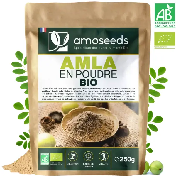Amla en Poudre Bio - 250g