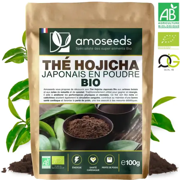 Thé Hojicha Japonais en Poudre Bio