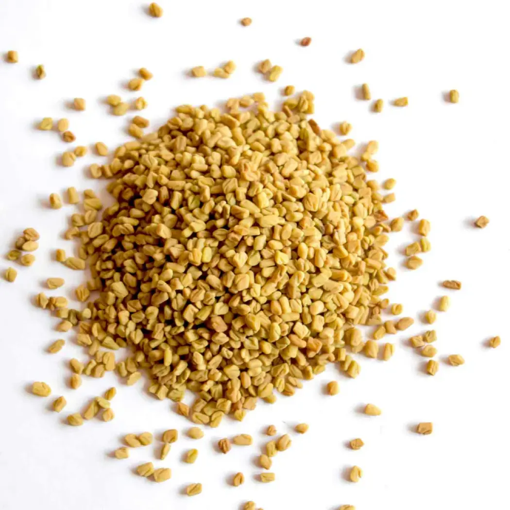 Graines de fenugrec bio — Amoseeds