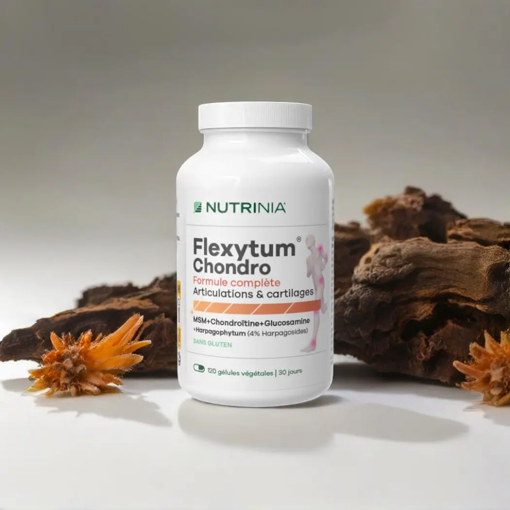 Flexytum Chondro - Articulations et Cartilages - MSM Chondro Gluco Harpago — Nutrinia