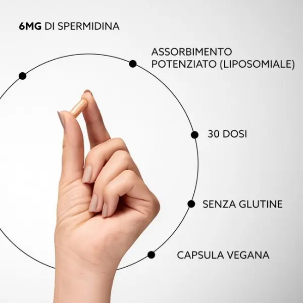 Spermidin Kapseln Liposomal 30 Stück