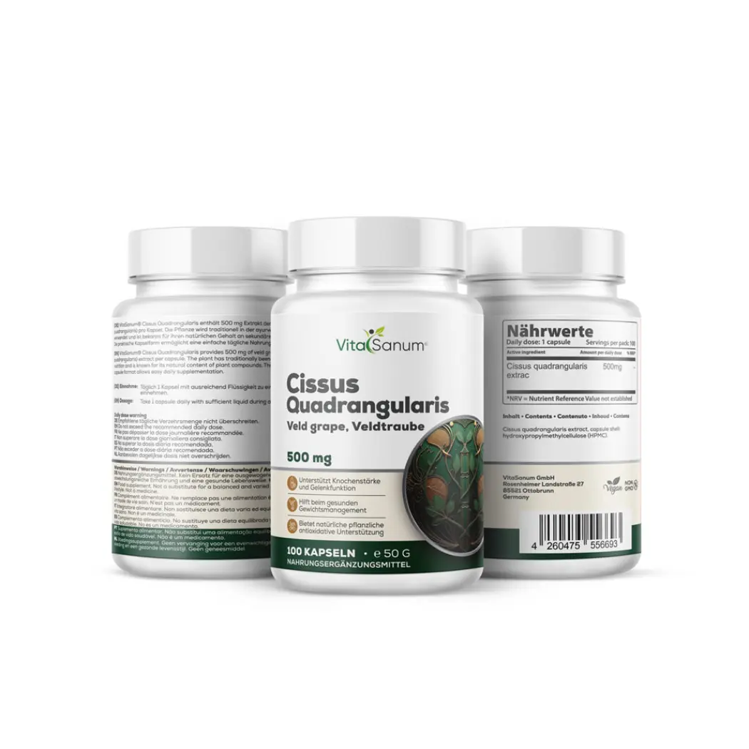 cissus_1