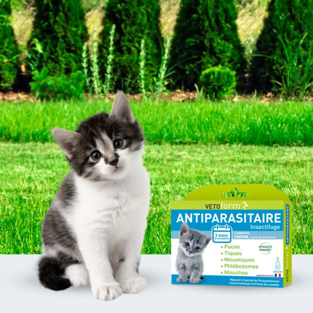 Vetoform_pipettes_insectifuge_chaton_0.6ml_5