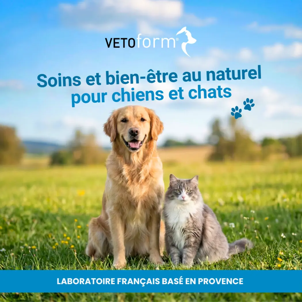 Marketplace - Visuel de marque - Vetoform