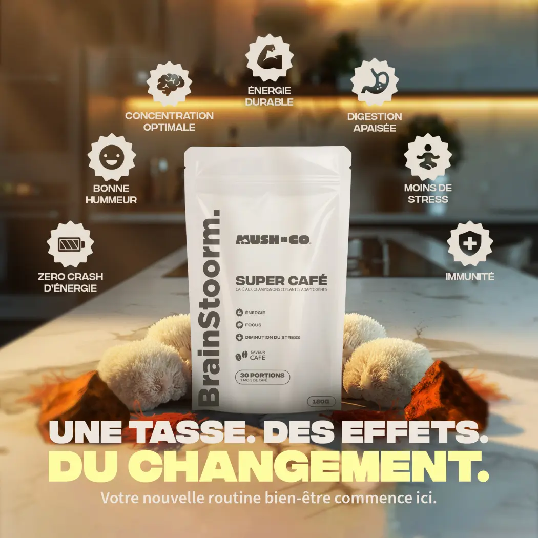 Café adaptogène Brainstoorm goût café - cure 1 mois — Mush n Go