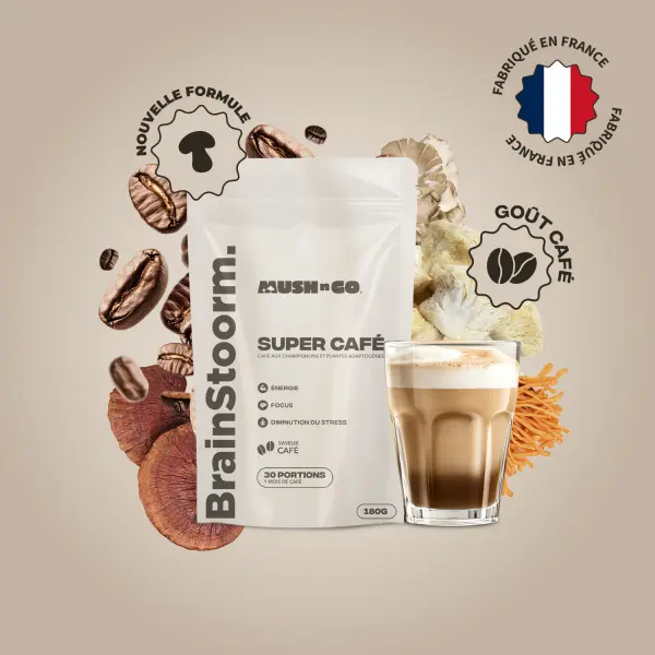 Café adaptogène Brainstoorm goût café - cure 1 mois