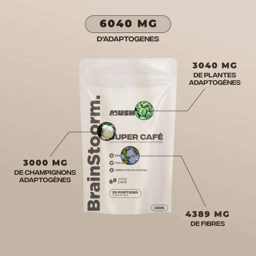 Café adaptogène Brainstoorm goût café - cure 1 mois — Mush n Go