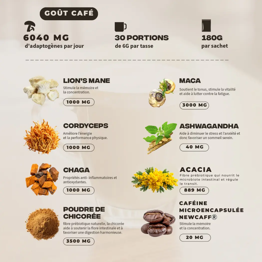 Café adaptogène Brainstoorm goût café - cure 1 mois — Mush n Go