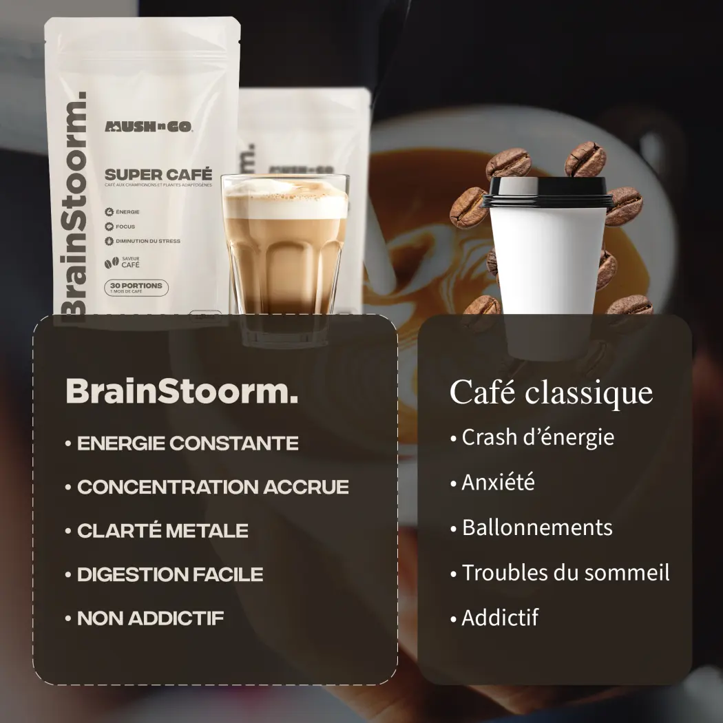 Café adaptogène Brainstoorm goût café - cure 1 mois — Mush n Go