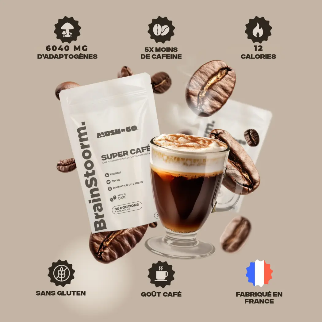 Café adaptogène Brainstoorm goût café - cure 1 mois — Mush n Go