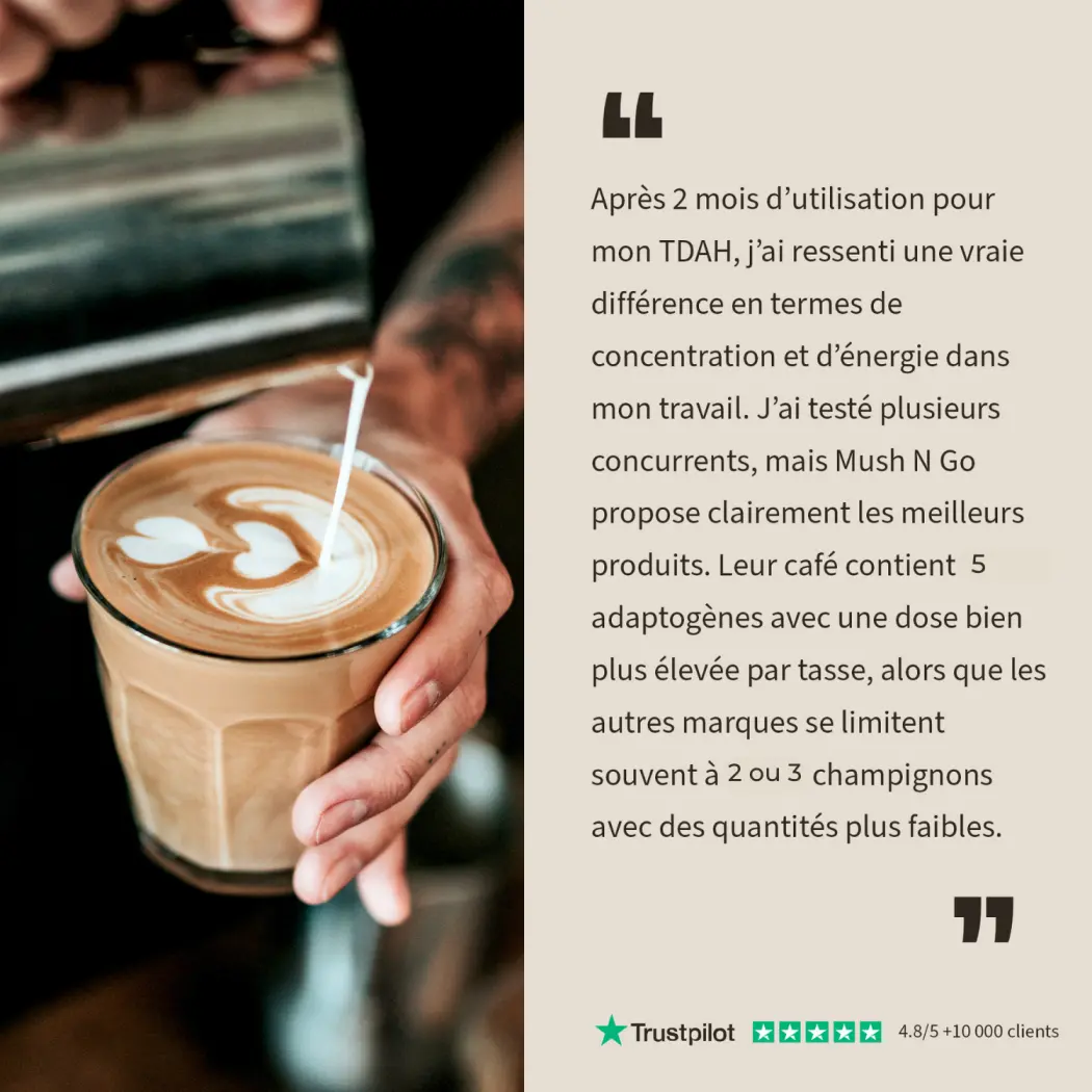Café adaptogène Brainstoorm goût café - cure 1 mois — Mush n Go