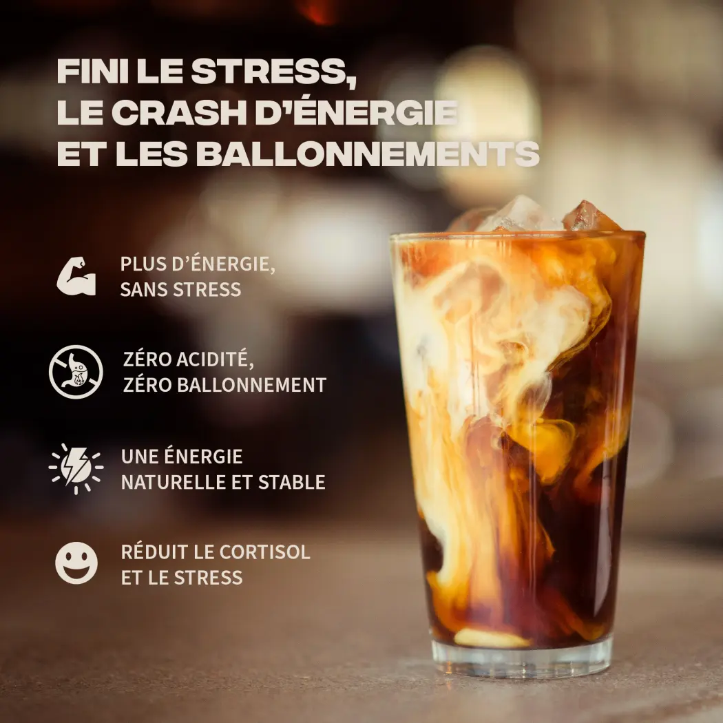 Café adaptogène Brainstoorm goût café - cure 1 mois — Mush n Go