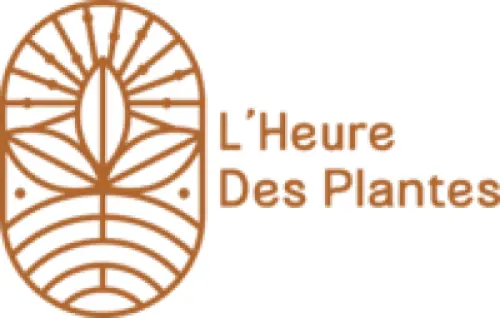 L'HDP - Logo v1 - TERRACOTTA (1)
