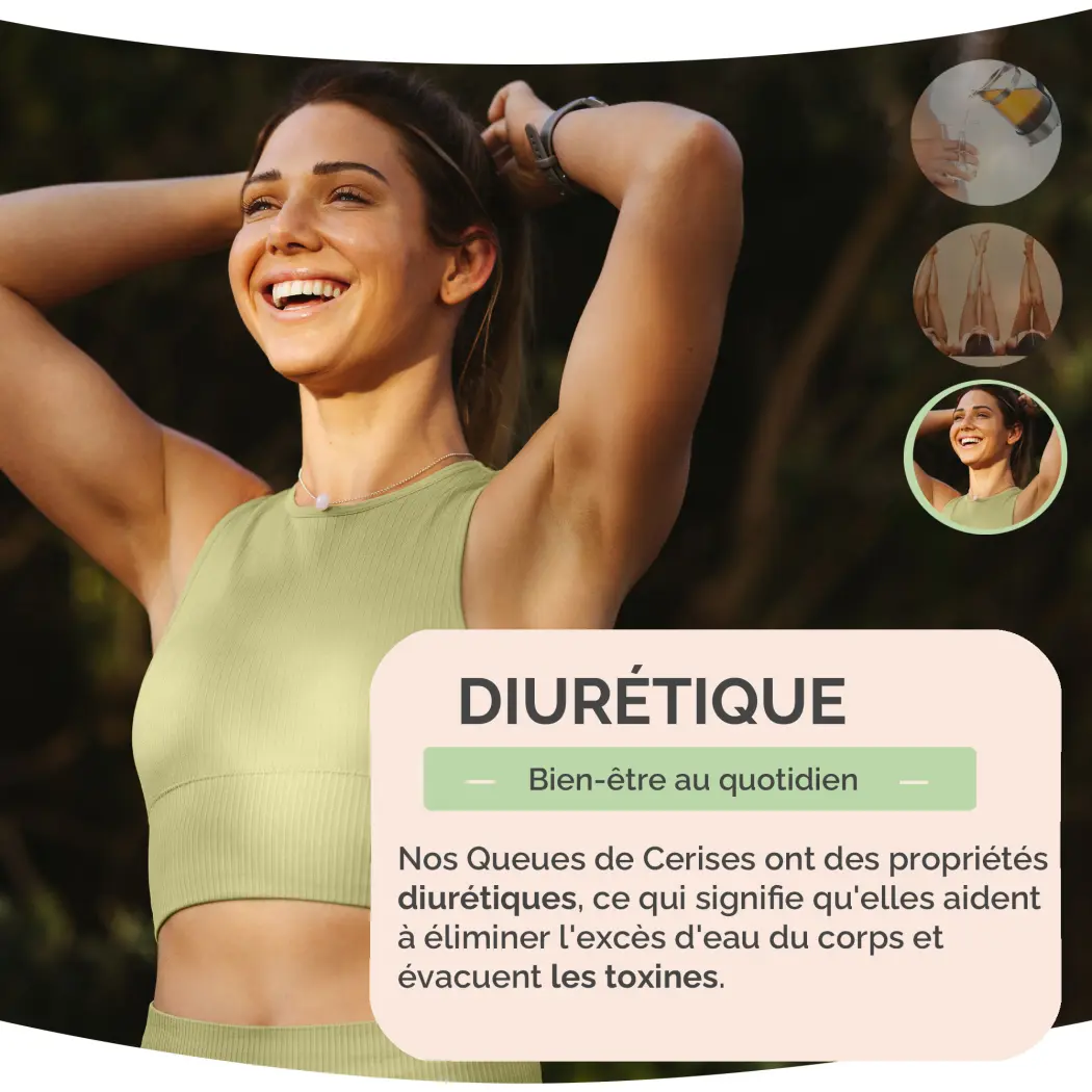 Queues de Cerises Coupées | 100g | Infusion Naturelle Bien-Être & Légèreté | Herbes du Monde — Herbes du Monde