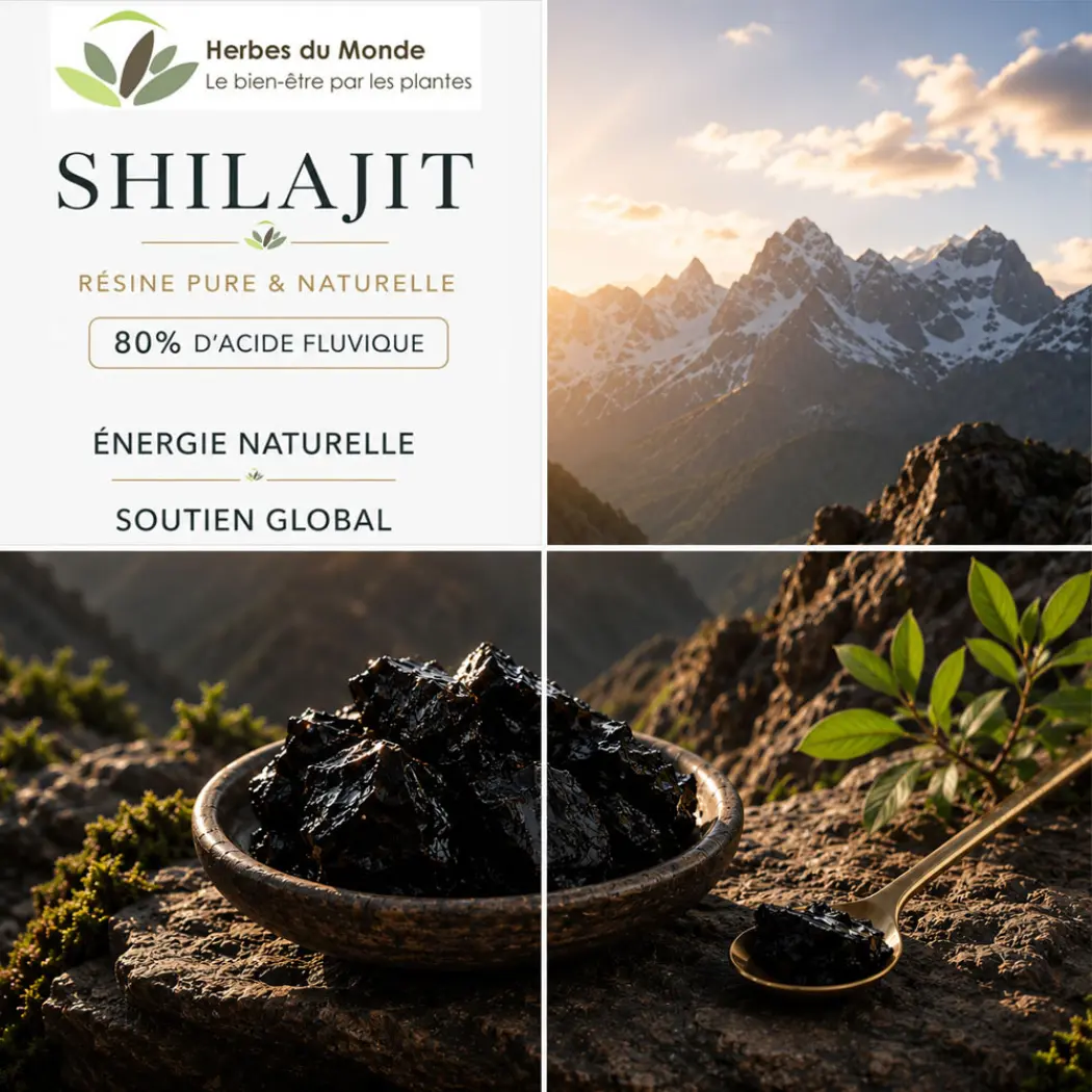 shilajit-pt01